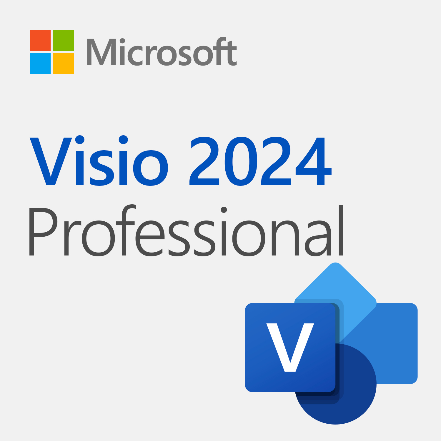 Microsoft Visio Professional 2024 product icon
