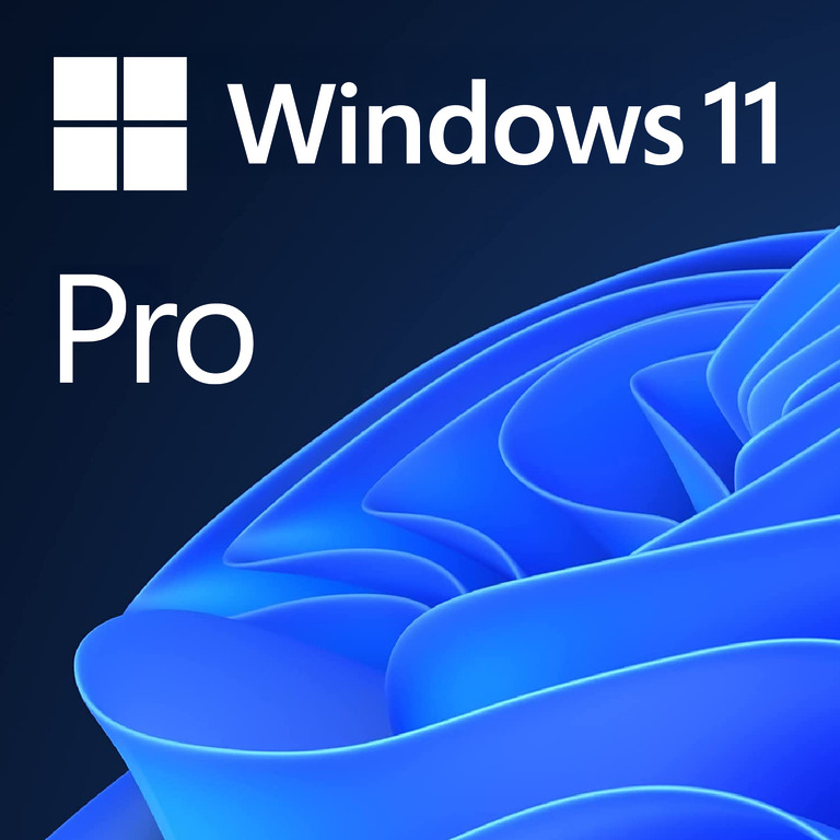 Windows 11 Pro Lifetime License | The Software City